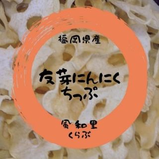 友芽にんにく【Ｊmm様専用】(野菜)