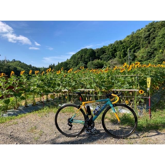 Bianchi SPECIALISSIMA CV PANTANI サイズ50cm