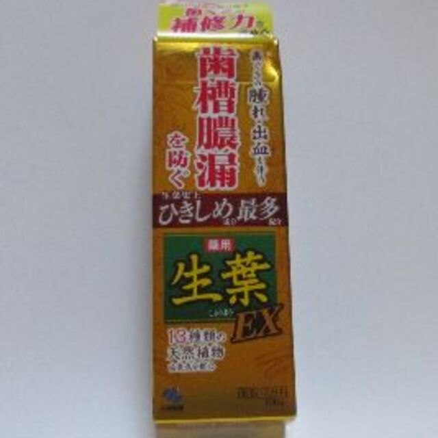 小林製薬(コバヤシセイヤク)の薬用ハミガキ　生葉EX　１００ｇ コスメ/美容のオーラルケア(歯磨き粉)の商品写真