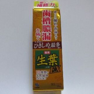 コバヤシセイヤク(小林製薬)の薬用ハミガキ　生葉EX　１００ｇ(歯磨き粉)