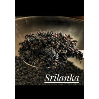スリランカ紅茶FOPフラワリーオレンジペコー60g（30g✖️2）オマケつき(茶)