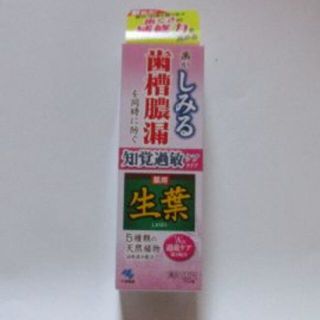 コバヤシセイヤク(小林製薬)の生葉Sa　１００ｇ(歯磨き粉)