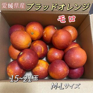 ブラッドオレンジ　愛媛県産　15~21玉　約2kg  モロオレンジ　柑橘(フルーツ)