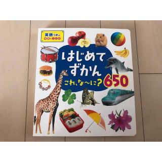 はじめてずかん これ、な～に?650(絵本/児童書)