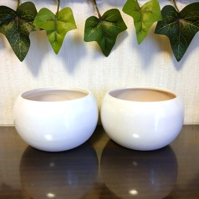 ②3.5号 2個 白 陶器鉢 丸鉢 植木鉢 盆栽鉢 ミニ盆栽 観葉鉢 山野草鉢