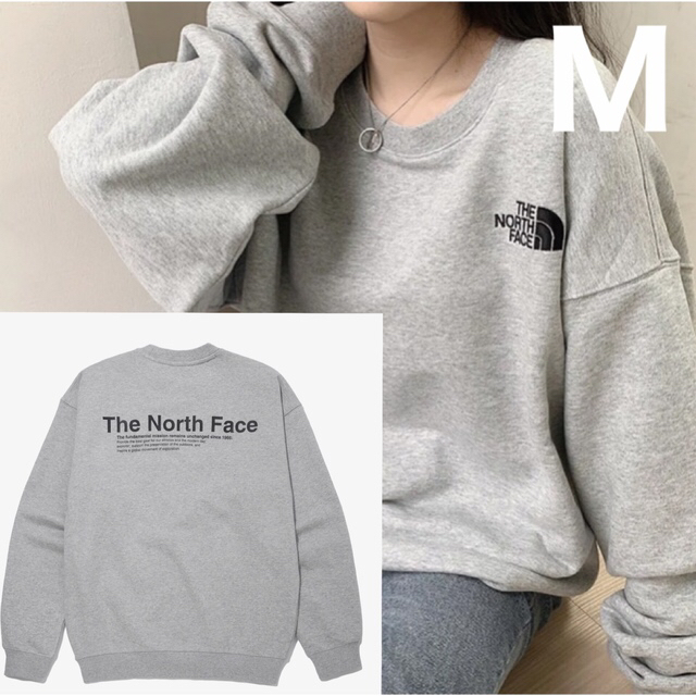 THE NORTH FACE(ザノースフェイス)の97. 海外限定 ノースフェイス グレー バックプリント スウェット メンズのトップス(スウェット)の商品写真