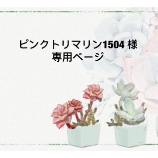 ピンクトリマリン1504 様　専用ページ(その他)