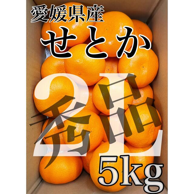 愛媛県産【せとか】秀品 2Lサイズ  5kg！