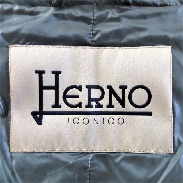 HERNO(ヘルノ)のHERNO(ヘルノ) ダウンコート サイズ38 S - レディースのジャケット/アウター(ダウンコート)の商品写真