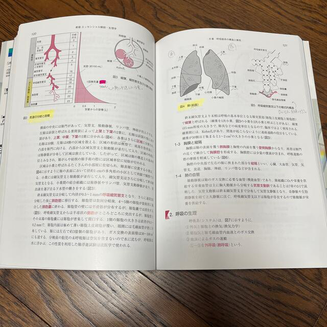 エッセンシャル解剖・生理学 新版 エンタメ/ホビーの本(健康/医学)の商品写真