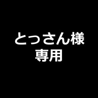 とっさん様専用『水色のバニーカクタス』『レインボーファン』『ジュエルオーキッド』(その他)