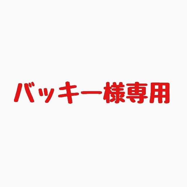 バッキー様専用 その他のその他(その他)の商品写真