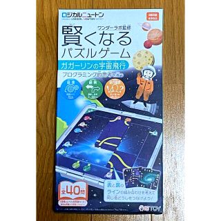 ロジカルニュートン　賢くなるパズルゲーム(知育玩具)