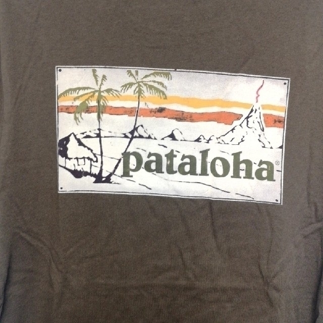 patagonia(パタゴニア)のpatagonia パタゴニア パタロハ Tシャツ メンズのトップス(Tシャツ/カットソー(半袖/袖なし))の商品写真