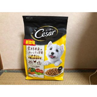 シーザー(CASAR)の【専用】成犬用 3kg×3袋(ペットフード)