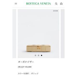 BOTTEGA VENETA /オーガナイザー クラッチバック ポーチ 小物入れ