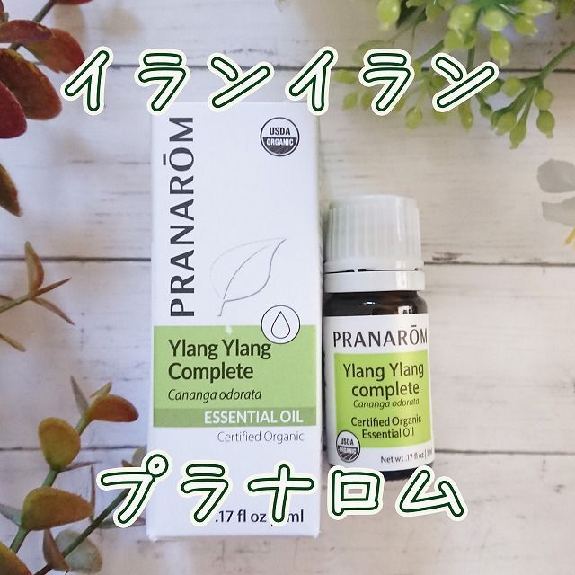 PRANAROM(プラナロム)のプラナロム　イランイラン　精油　5ml　オーガニック コスメ/美容のリラクゼーション(エッセンシャルオイル（精油）)の商品写真