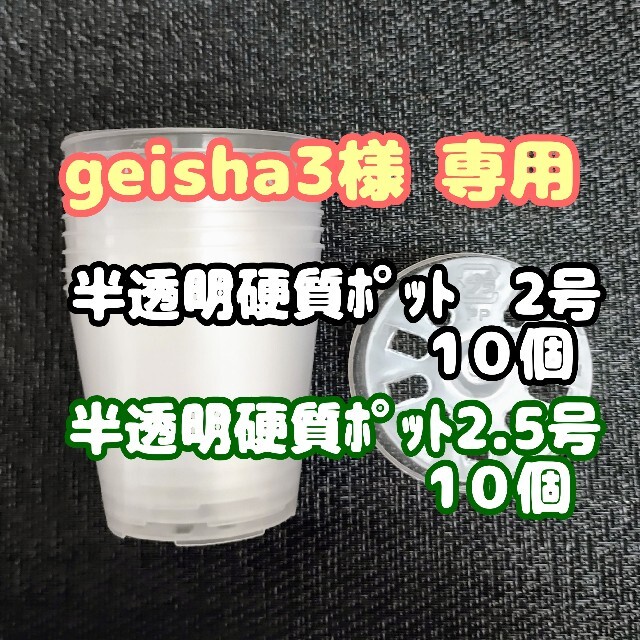 硬質半透明ポリポット 2.5号 7.5cm 10個他 プラ鉢 多肉植物プレステラ ハンドメイドのフラワー/ガーデン(プランター)の商品写真