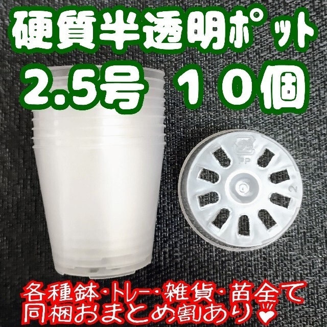 硬質半透明ポリポット 2.5号 7.5cm 10個他 プラ鉢 多肉植物プレステラ ハンドメイドのフラワー/ガーデン(プランター)の商品写真