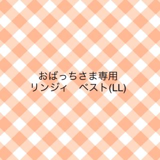 リンジィ(Lindsay)のおばっちさま専用　リンジィ　ベスト(LL)(ニット)