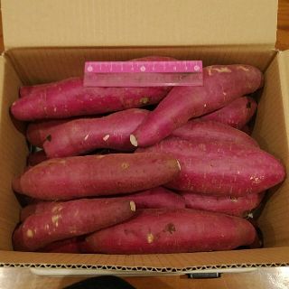 2 千葉県産　べにはるか　さつまいも　サツマイモ　約3.3㎏(野菜)