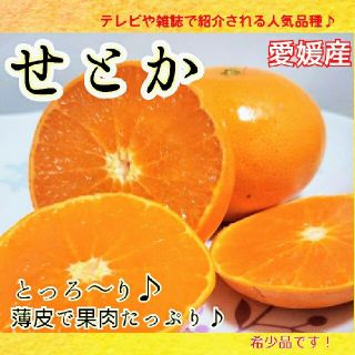 愛媛産【農家直送】☆せとか☆10個～12個 約1.4㎏(フルーツ)