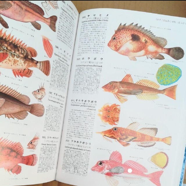 55％以上節約 北隆館 原色魚類大図鑑 初版本 昭和62年 asakusa.sub.jp