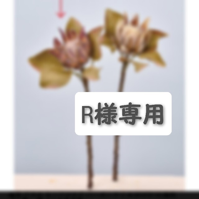 R.shop様専用 R.shop様専用