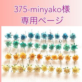 375-minyako様専用ページ(ドライフラワー)