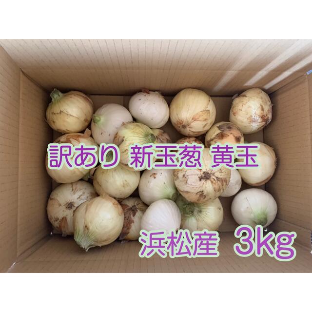 #20 訳あり 新玉葱 新玉ねぎ 黄玉 静岡県浜松産3kg 食品/飲料/酒の食品(野菜)の商品写真