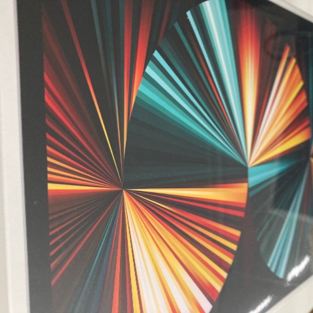 Apple - 2021 Apple 12.9インチiPad Pro (Wi-Fi, 256GB