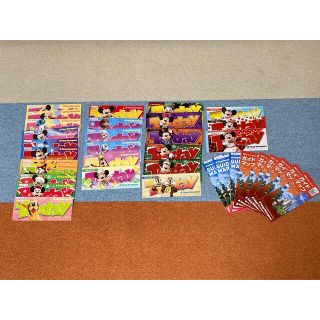 ディズニー(Disney)の【ディズニーランド】TODAYとガイドブック35冊セット(遊園地/テーマパーク)