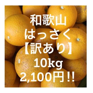 和歌山　はっさく　ご家庭用【訳あり】(フルーツ)