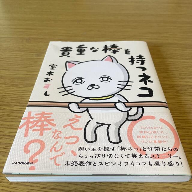 貴重な棒を持つネコ エンタメ/ホビーの本(文学/小説)の商品写真