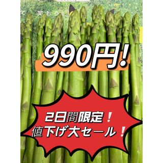 春一番グリーンアスパラガス500g(野菜)
