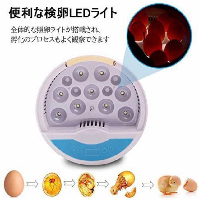 今日だけSALE！孵卵器 検卵ライト内蔵鳥類専用ふ卵器 孵化器 9個入卵OK その他のペット用品(鳥)の商品写真