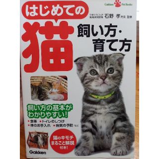 はじめての猫飼い方・育て方 飼い方の基本がわかりやすい！(住まい/暮らし/子育て)