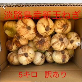 淡路島産　新玉ねぎ　5キロ  訳あり(野菜)