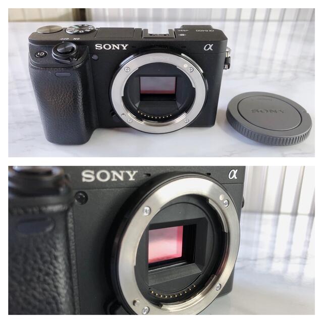 SONY α6400 & SIGMA 16mm F1.4 DC DN | sweatreno.com
