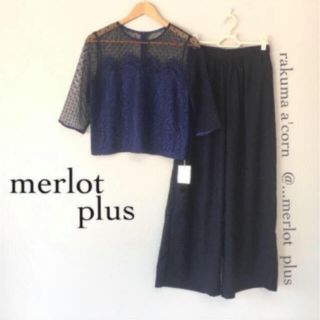 メルロー(merlot)のmerlot plus ドットチュールトップス　セットアップ　＊ネイビー(セット/コーデ)