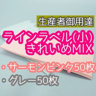 ラインラベル 小 100枚 肌灰 園芸ラベル カラーラベル 多肉植物 エケベリア(その他)