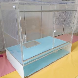 アクリルの通販 99点（その他） | お得な新品・中古・未使用品のフリマ