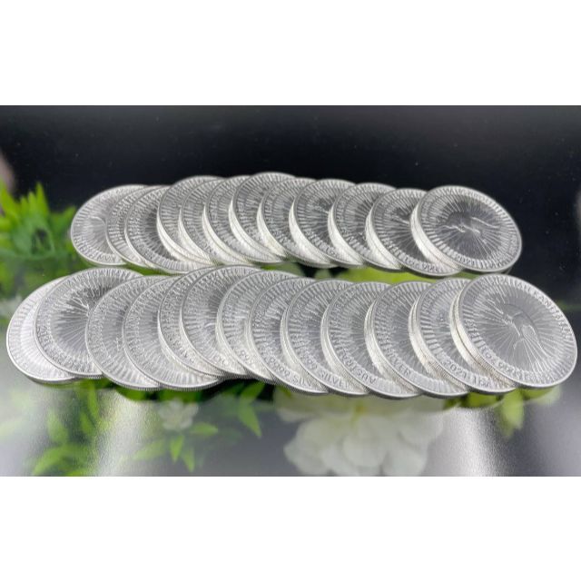 地金型銀貨 .999silver オーストラリアカンガルー1oz銀貨 2021 エンタメ/ホビーの美術品/アンティーク(貨幣)の商品写真