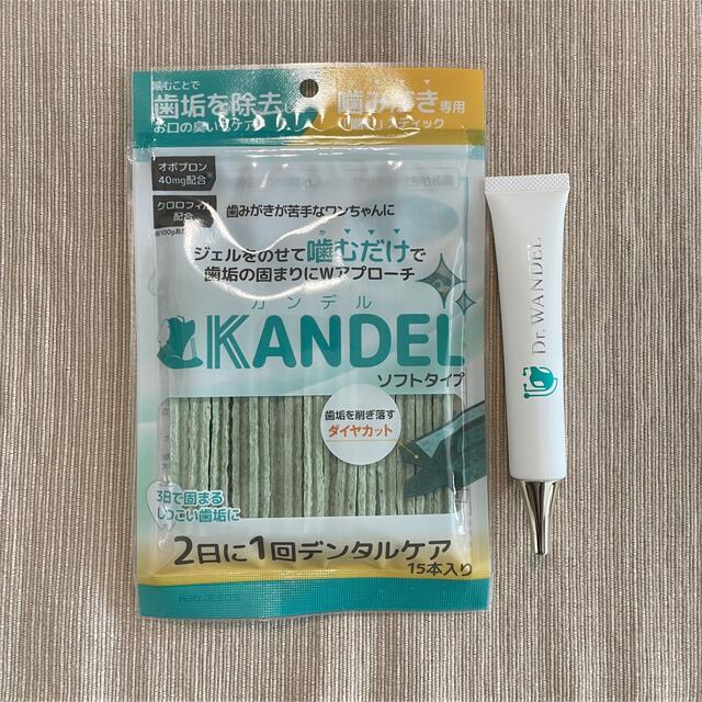 Dr.WANDEL KANDEL カンデル ソフトタイプ 15本入 ジェルセット