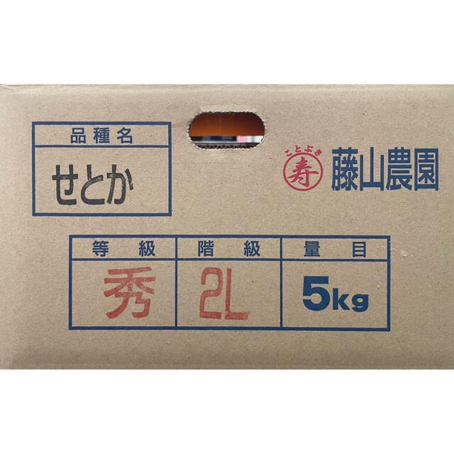 愛媛県産【せとか】秀品 2Lサイズ  5kg！