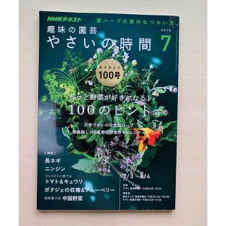 趣味の園芸　やさいの時間　2016年7月号(趣味/スポーツ/実用)