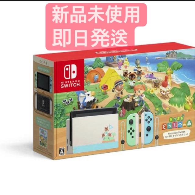 Nintendo Switch あつまれ どうぶつの森セット/Switch/HA家庭用ゲーム機本体