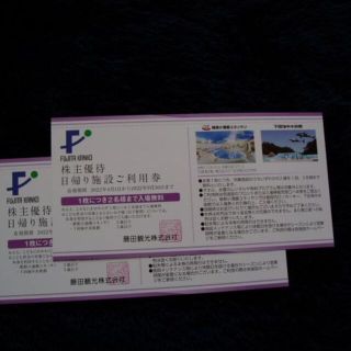 ★藤田観光　株主優待　日帰り施設利用券　2枚　S-2(水族館)