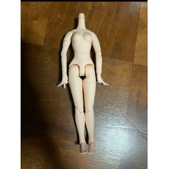 アイシードール ボディ 白肌 ハンドメイドのぬいぐるみ/人形(人形)の商品写真