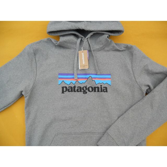 patagonia(パタゴニア)のパタゴニア Uprisal Hoody Logo M GLH 2020 メンズのトップス(パーカー)の商品写真